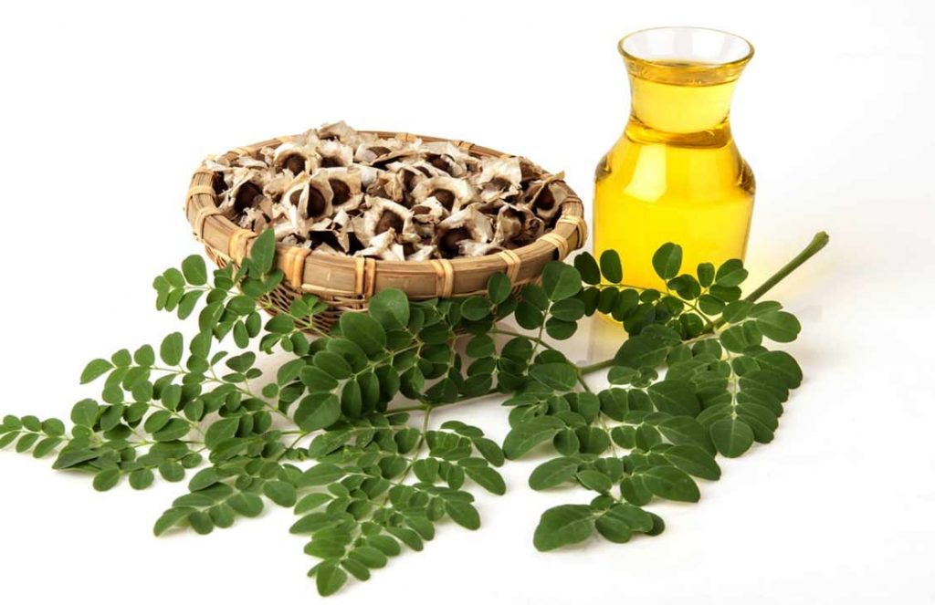 moringa oil for hair